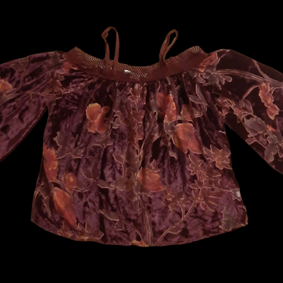 American Rag Purple Floral Velour Blouse - Picture 2 of 4